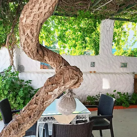 Kalipso Bed and Breakfast 3*