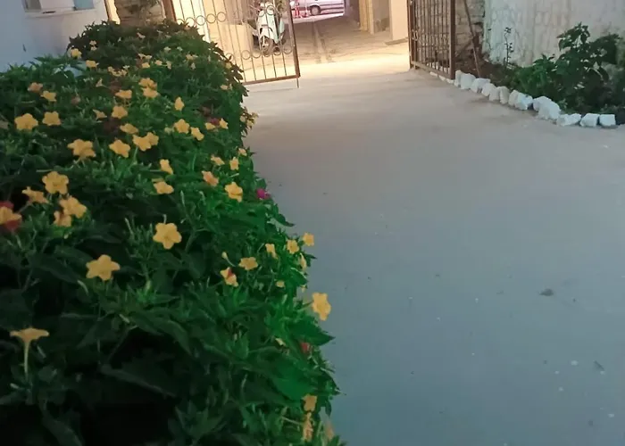 Bed & Breakfast Kalipso